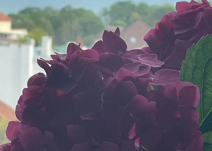 公寓 Aqua Marine *