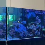 Aqua Marine *