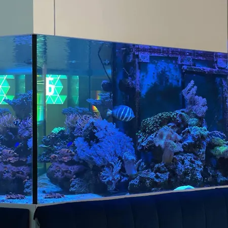 Aqua Marine *